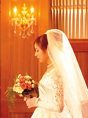 �C���[�W�ʐ^