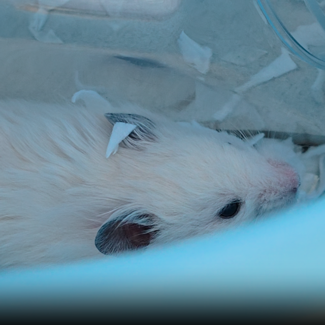 �H�q(���炵)����(5�P��)