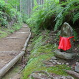 ツルアリドウシ