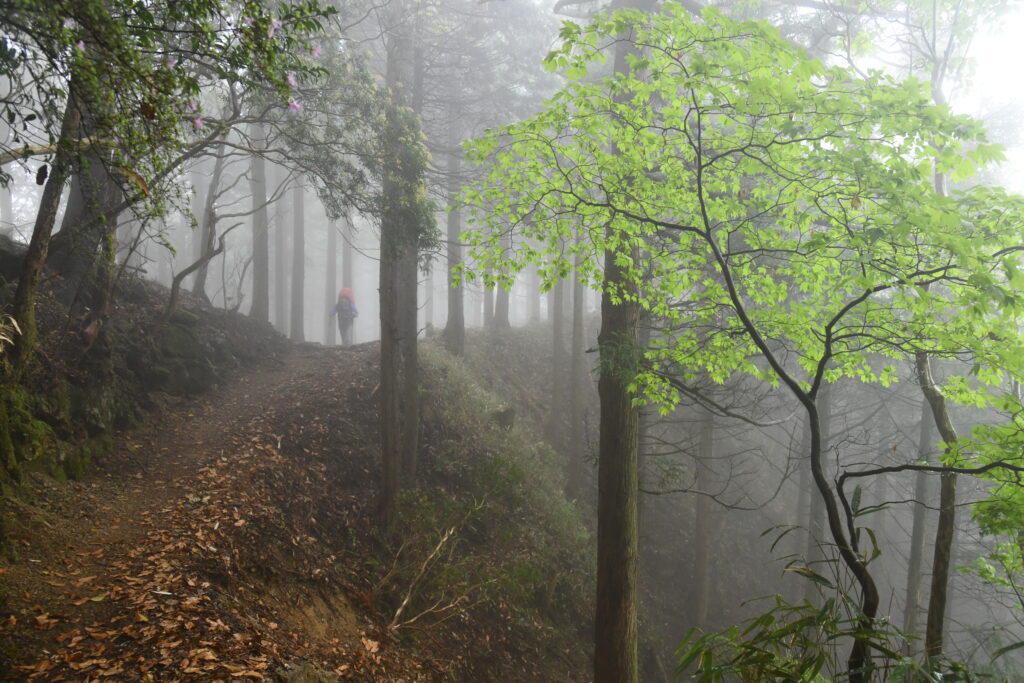 熊野古道・大雲取越の「亡者の出会い」