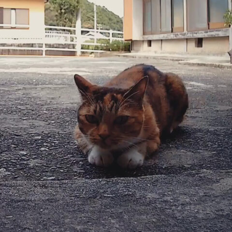 まれちゃん(5才)