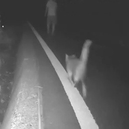 まれちゃん(5才)