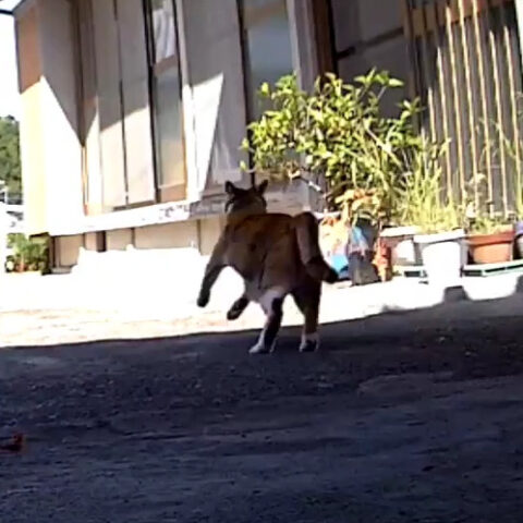 まれちゃん(5才)