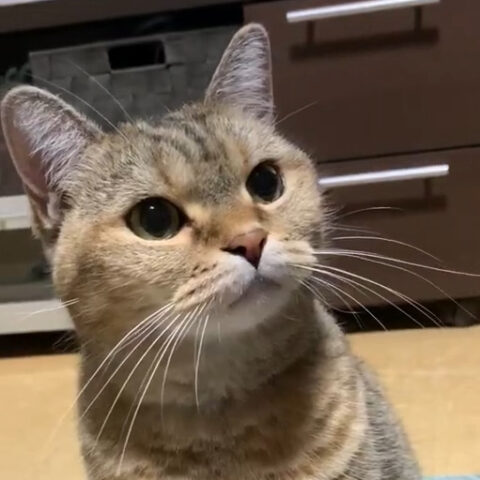 ルナちゃん(８才)