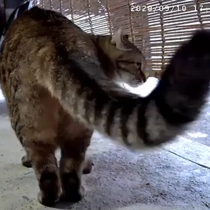 メイちゃん(8才)