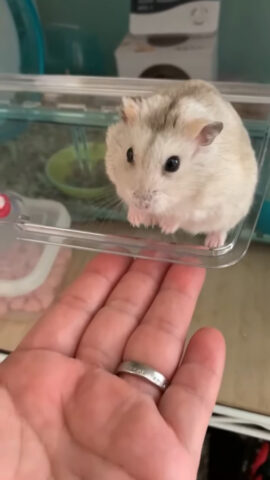 ちむらんちゃん(1才)