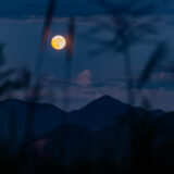 古道照らす名月