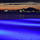 扇ケ浜ライトアップ