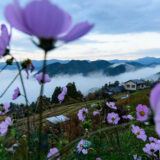 朝霧の季節本番