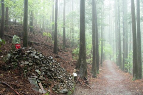 雨の古道を楽しもう ５ 写真撮影 Agara熊野古道コンシェルジュ
