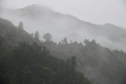 雨の古道を楽しもう ６ 雨の日にお薦めの場所 Agara熊野古道コンシェルジュ