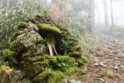 雨の古道を楽しもう ６ 雨の日にお薦めの場所 Agara熊野古道コンシェルジュ
