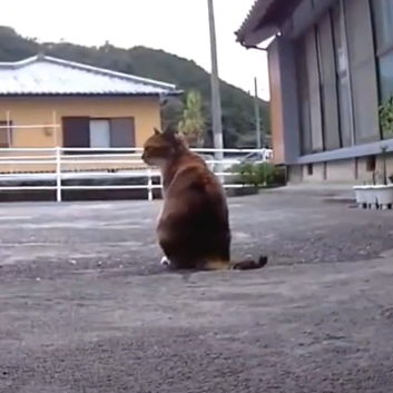 まれちゃん(6才)