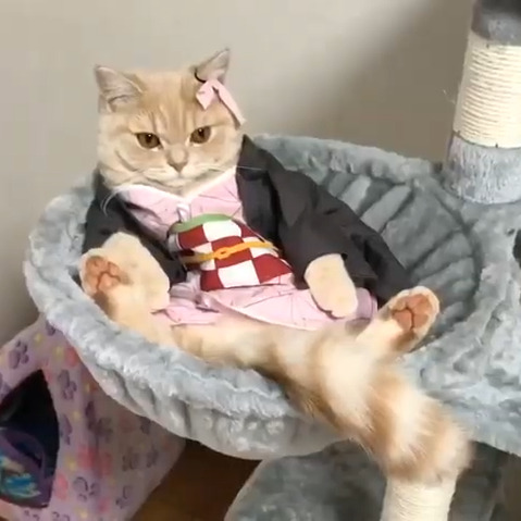 ティナちゃん(1才)