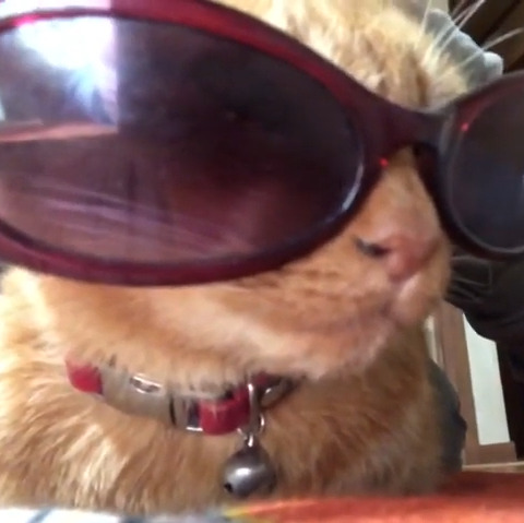 ちゃぴ子ちゃん(18才)