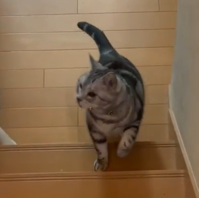 ゆきちちゃん(15才)