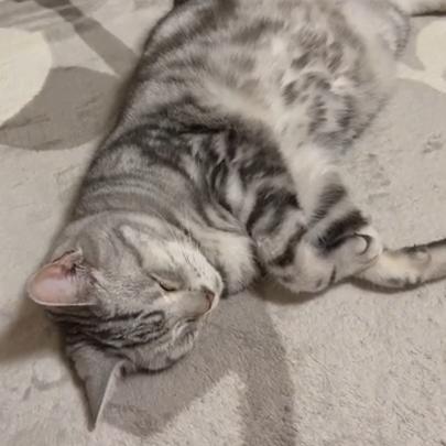 ゆきちちゃん(15才)