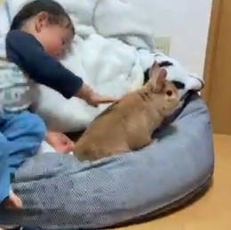 といといちゃん(4才)