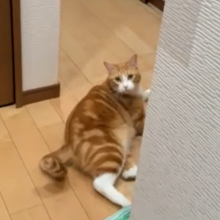 まるちゃん（5才）