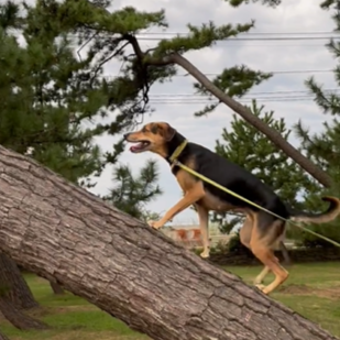 斗々ちゃん（4才）