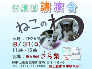 保護猫 譲渡会「ねこのわ」