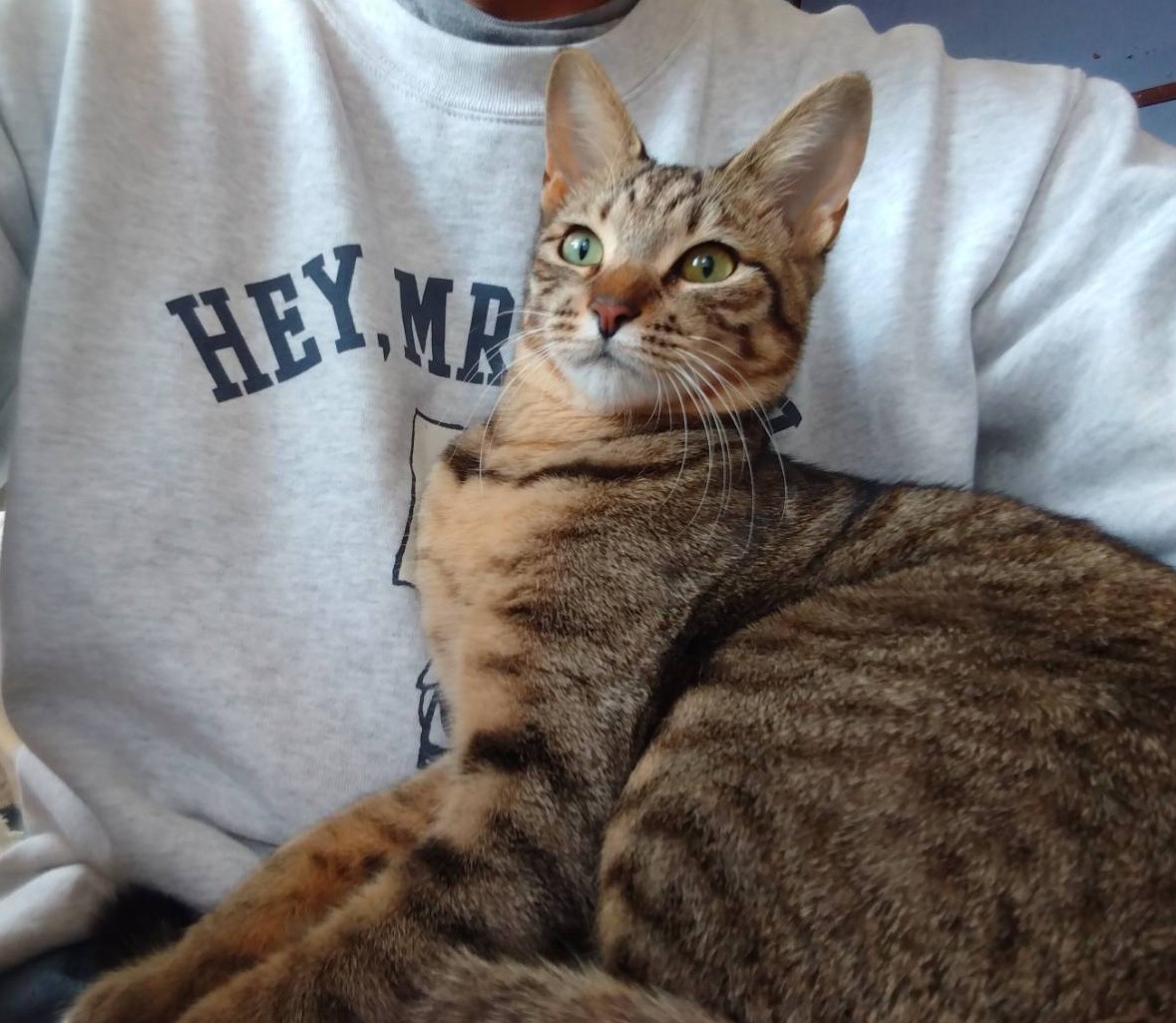 スージーちゃん